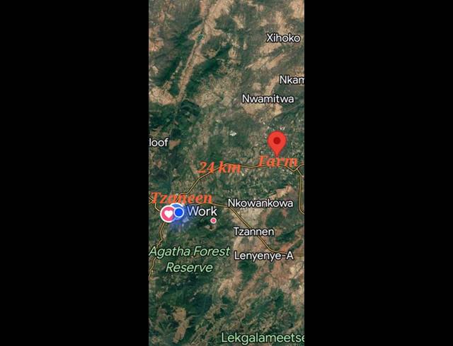 FARM FOR SALE IN TZANEEN RURAL